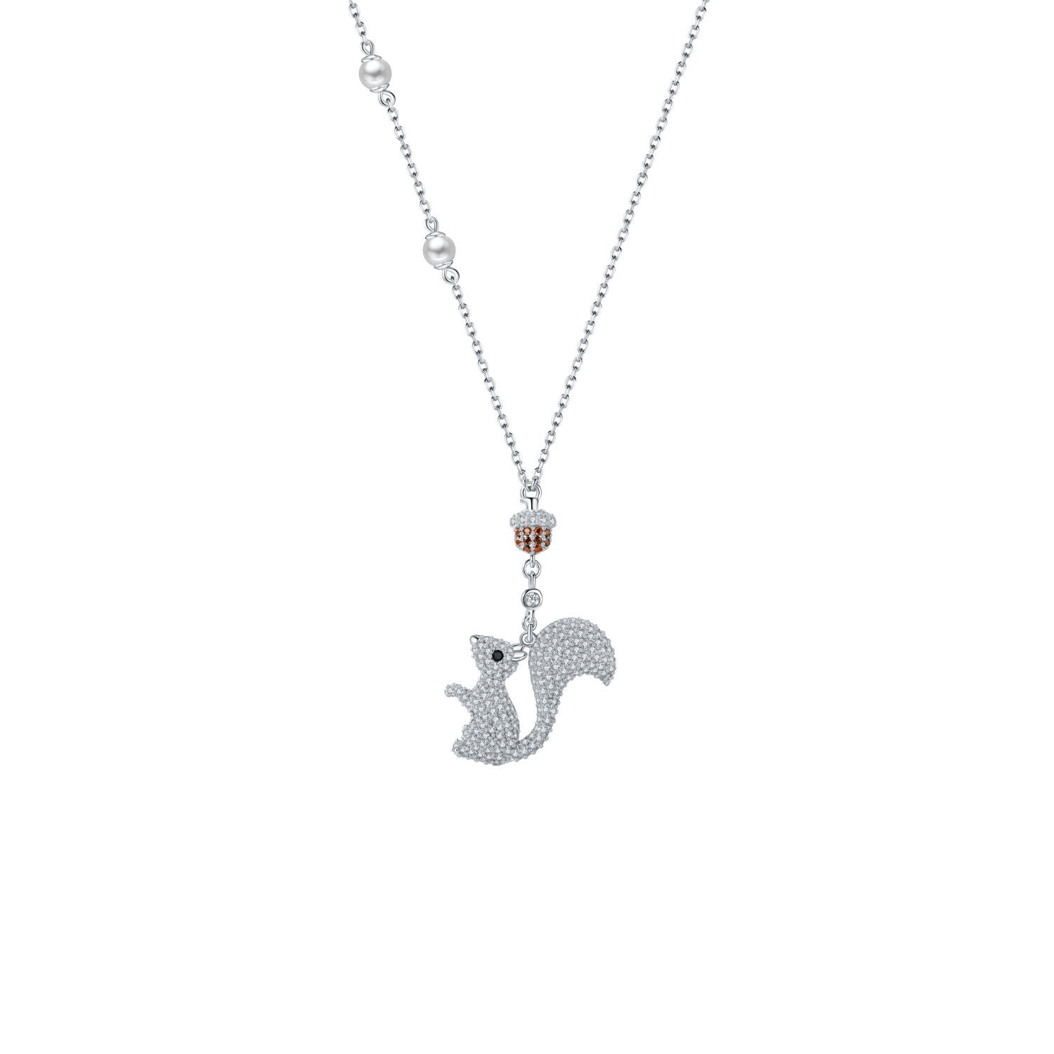 SQUIRREL - COLLECTION