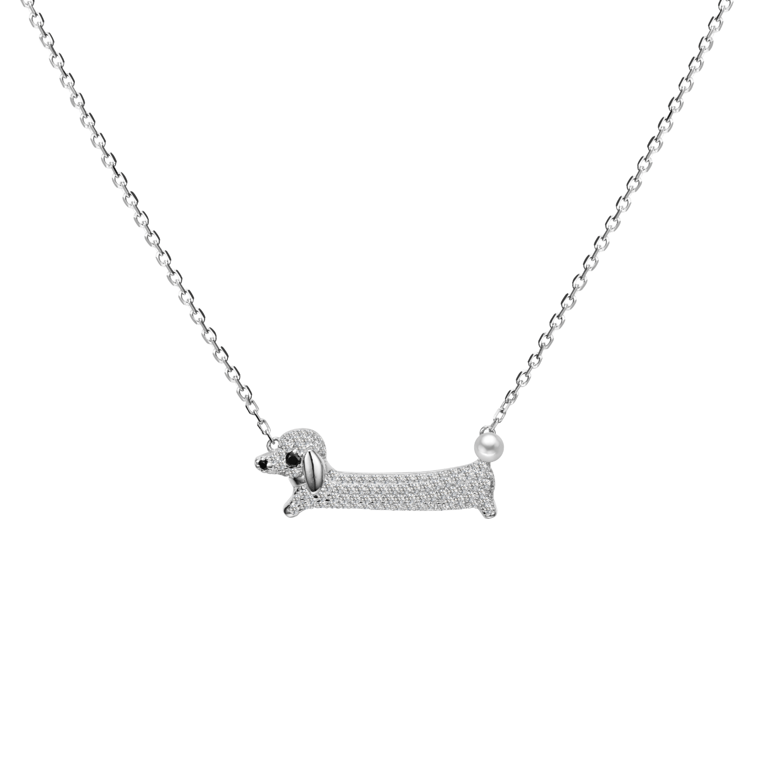 PUPPY - COLLECTION